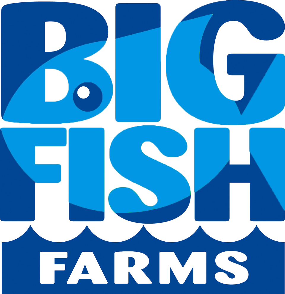 Logo of Big Fish Farms featuring bold blue letters with a fish motif, representing sustainable aquaculture and seafood production.