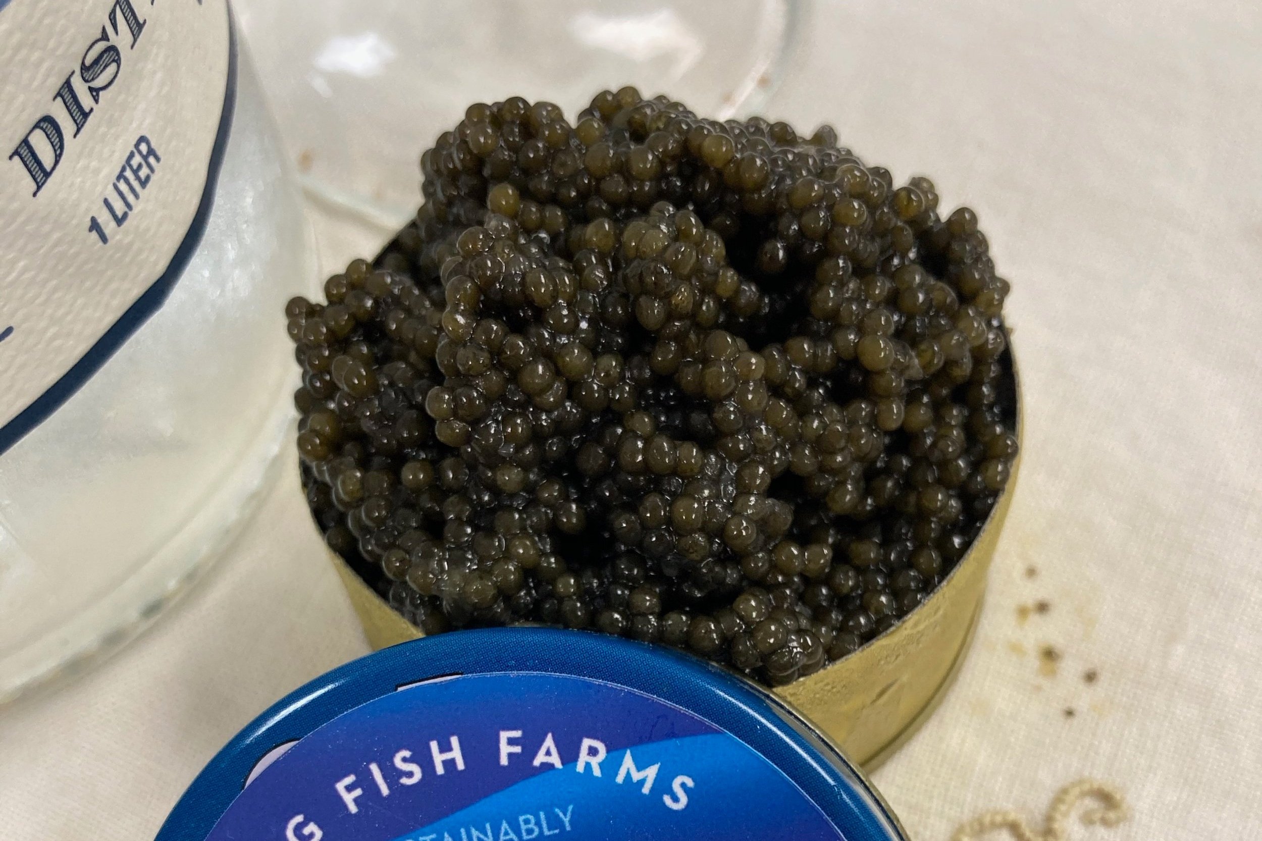 Close-up of premium caviar in a gold tin, showcasing its glossy black pearls, alongside a blue-labeled tin from a sustainable fish farm, emphasizing luxury gourmet food.