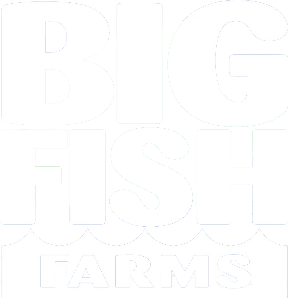 logo-white Logo of Big Fish Farms featuring bold text emphasizing sustainable aquaculture and fish farming practices.